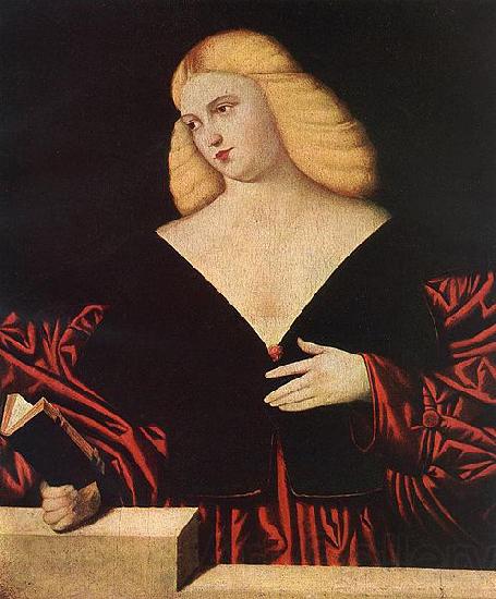 Bernardino Licinio Portrait of a woman Spain oil painting art
